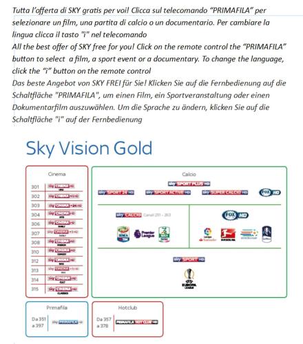 a screenshot of the sky vision gold homepage at Hotel Irene in Lignano Sabbiadoro