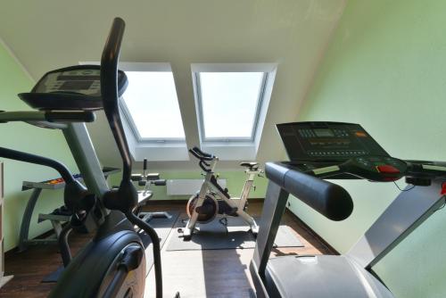Fitness centrum a/nebo fitness zařízení v ubytování Schade's Wohlfühlhotel