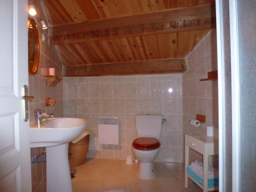 une salle de bain avec toilettes et lavabo dans l'établissement Comfortable Gite (2) in attractive Languedoc Village, à Magalas