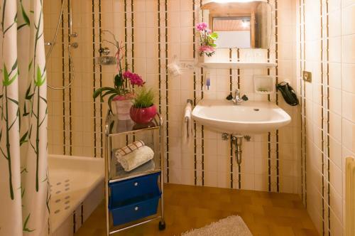 uma pequena casa de banho com um lavatório e uma banheira em Garni Reider em Meltina