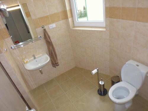 a bathroom with a toilet and a sink at Rodinný Penzion Kyjov in Kyjov