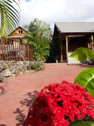 a pile of red flowers in front of a house at Le Cardinal des Grands Bleus in Saint-Leu