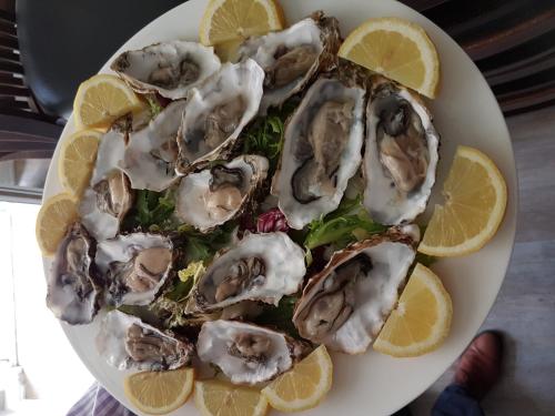 a plate of oysters with lemon slices on it at Mediterran in Hamburg