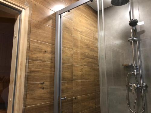 a shower in a bathroom with a wooden wall at Family & Business Sauna Apartments Rynek Centrum Downtown - 2 Bedroom with Private Sauna, Balcony, Parking in Kielce