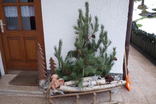a christmas tree on a sled in front of a door at Haus Ellerbeck in Bodenmais