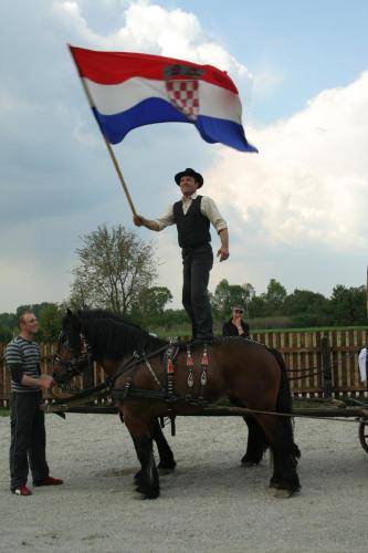 a man standing on a horse holding a flag at Tradicije Cigoc in Čigoč