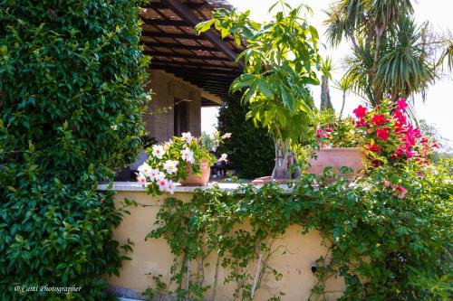 a garden with flowers and plants on a wall at Il Casale Del Sogno in Ardea
