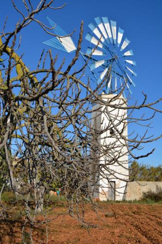 a white windmill with a tree in front of it at Agroturismo Finca Son Amora in Palma de Mallorca