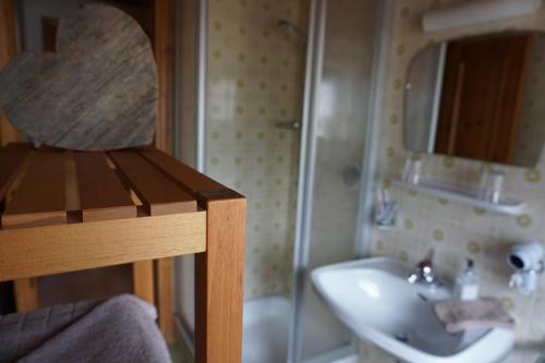 a bathroom with a sink and a shower at BUEHLERHOF Agriturismo, Obst-&Weingut, Urlaub mit Hund, Bauernhof, Brixen in Rosa