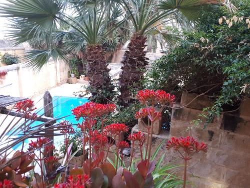 a garden with red flowers and palm trees and a swimming pool at Gozo Break Farmhouses in Kerċem