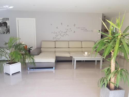 a living room with a couch and some plants at Le Mas Sophil in Carcès