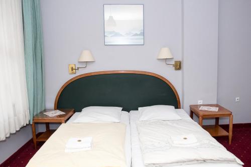 a bed with two white pillows in a room at Hotel Karkonosze in Kamienna Góra