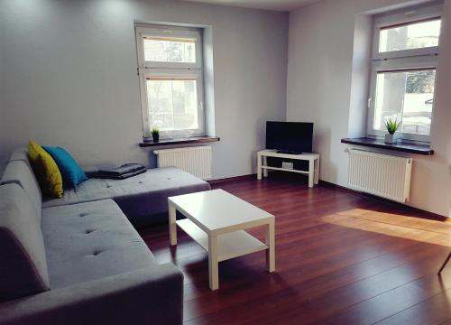 Televízia a/alebo spoločenská miestnosť v ubytovaní Apartament Szczawno-Zdrój