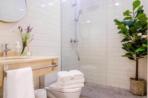 y baño con ducha, aseo y lavamanos. en FerAla Suites Centro B, en Granada