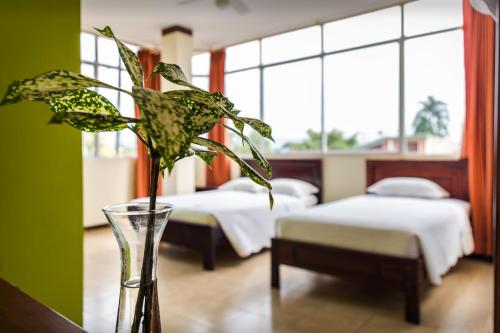 Hotel Palmar del Río Premium في Archidona: مزهرية مع نبات في غرفة مع سريرين