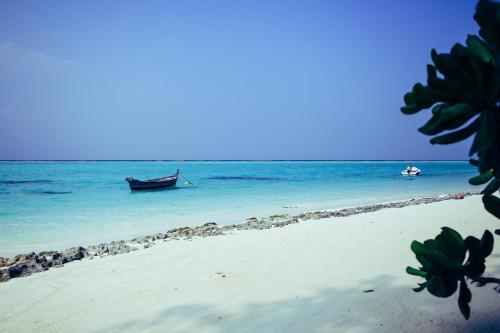 a boat in the water on a beach at Evila Inn - Thoddoo in Thoddoo