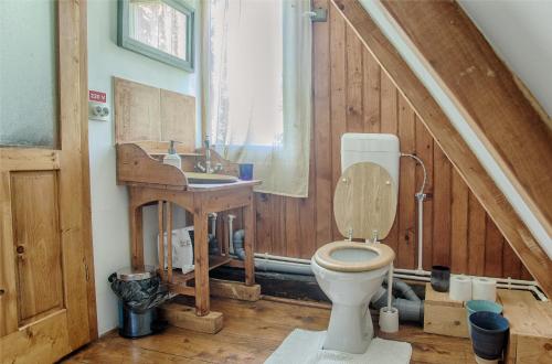 a bathroom with a toilet and a sink at Dominic Boutique - Casa Mare in Cloaşterf