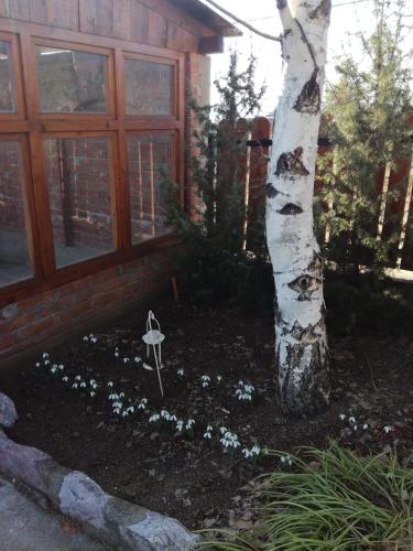 a tree and flowers in front of a house at Seosko turističko domacinstvo Imunsan in Niš