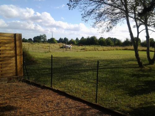 サン・メロワール・デ・ゾンドにあるLa Pastourelle Chambre d Hôtesの馬を背景に野原の柵