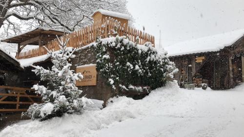 a snow covered tree in front of a house at BUEHLERHOF Agriturismo, Obst-&Weingut, Urlaub mit Hund, Bauernhof, Brixen in Rosa
