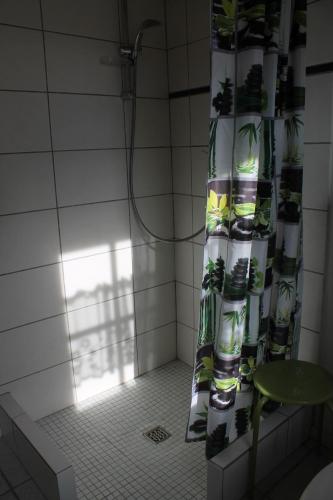 a shower with a shower curtain in a bathroom at Zur alten Schreinerei in Gondershausen