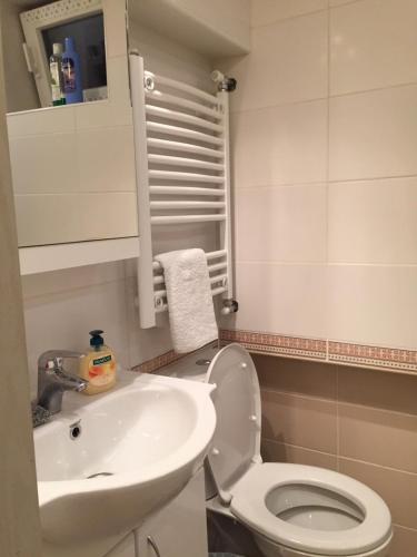 a bathroom with a white toilet and a sink at Crown Street Garden Studio in Belgrade