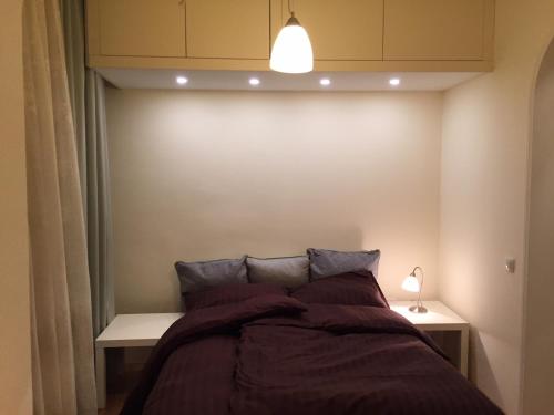 - une chambre avec un lit et une lumière au-dessus dans l'établissement Crown Street Garden Studio, à Belgrade