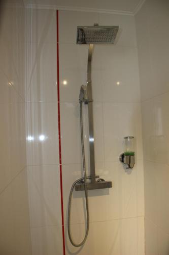 une douche dans une salle de bain avec une pomme de douche dans l'établissement L'Alsacienne, à Saint-Pierre-des-Corps