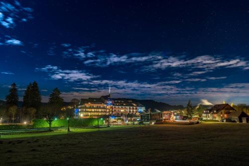 a city lit up at night with a park at Maritim Titisee Hotel in Titisee-Neustadt