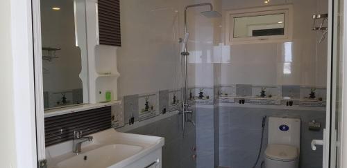 a bathroom with a shower and a sink and a toilet at Hai Dang Hotel in Ho Chi Minh City