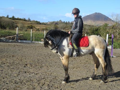 a person is sitting on a horse at Letterfrack Farm Cottage in village on a farm beside Connemara National Park in Letterfrack