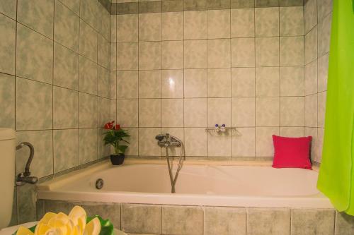 a bath tub with a pink pillow in a bathroom at Tonia Apartments in Zakynthos Town