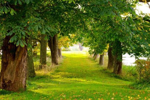 Börstorp Slott – Photos 5