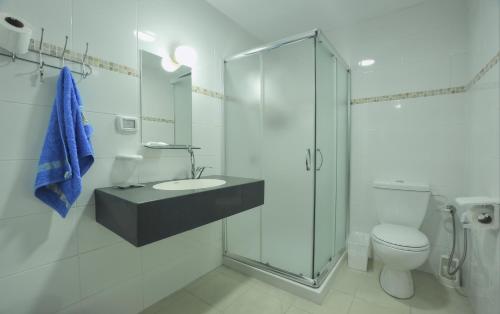 uma casa de banho com uma cabina de duche em vidro e um WC. em Herodion Hotel-Bethlehem em Belém