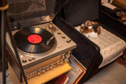 a dog laying on a bed next to an old record player at Peradays in Istanbul