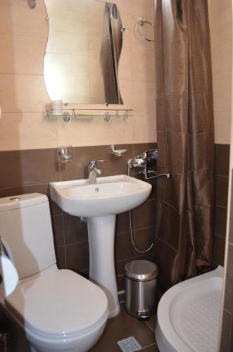 a bathroom with a sink and a toilet and a mirror at Hotel Toni in Gudauri