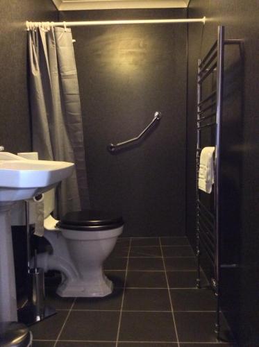 een badkamer met een toilet en een wastafel bij Hillview Park in Beauly