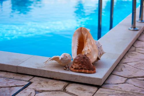 two seashells sitting next to a swimming pool at House Lavander in Šmrika