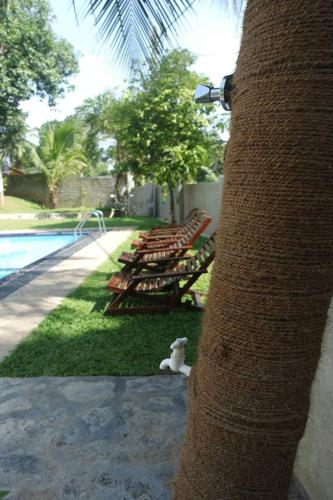 a group of lounge chairs next to a swimming pool at Blue Water hikkaduwa in Hikkaduwa