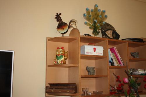a shelf with a chicken and a cat on it at SM Lodge in Trou dʼ Eau Douce