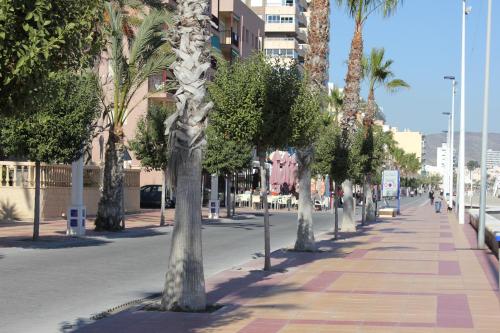 a sidewalk with palm trees on a city street at Apartamentos Congo in El Campello