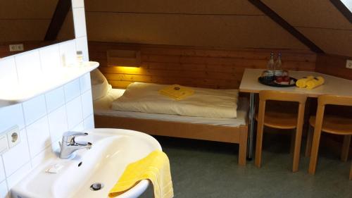 a bathroom with a sink and a bed in a room at Hellmut-Waßmer-Jugendherberge Lörrach in Lörrach
