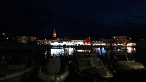 a group of boats docked in a harbor at night at Apartments Pepe in Novigrad Istria