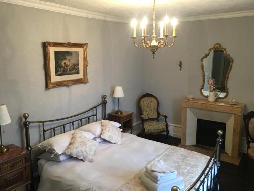a bedroom with a bed with a fireplace and a chandelier at La Ruche, Chaillac in Chaillac