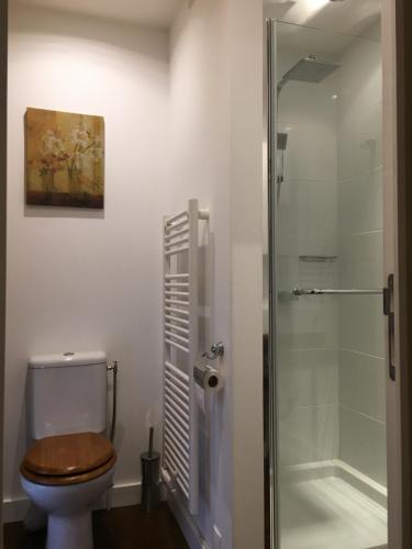 a bathroom with a toilet and a shower at La Ruche, Chaillac in Chaillac