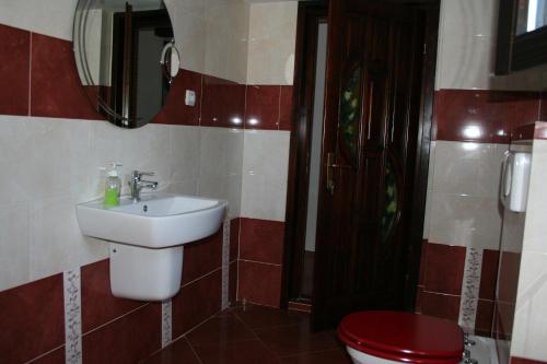 a bathroom with a sink and a toilet and a mirror at Dobarlica in Dobîrlău
