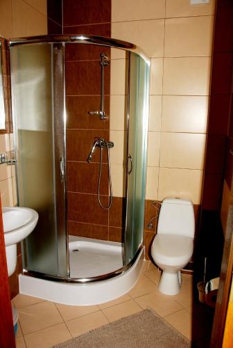 a bathroom with a shower and a toilet at Willa Feniks in Łeba