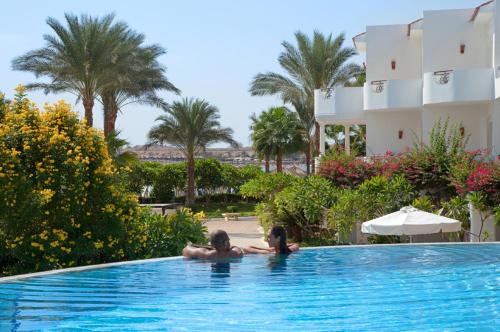 JAZ Elite Palace - Adults Friendly 16 Years Plus — Swimming pool