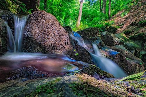 a waterfall in a forest with rocks and trees at Pension "Haus am Walde" Brodenbach, Mosel in Brodenbach