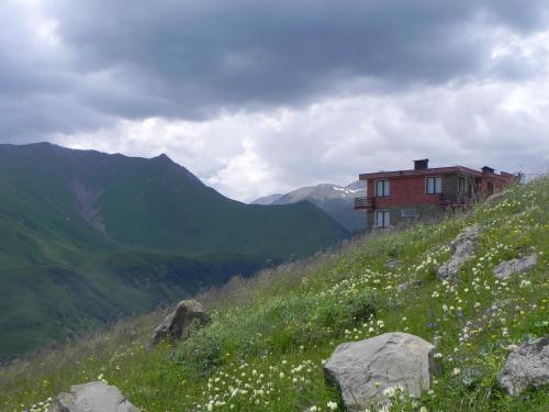a house on the side of a hill with flowers at Chalet Marina Gudauri in Gudauri